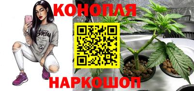 наркотики Бийск