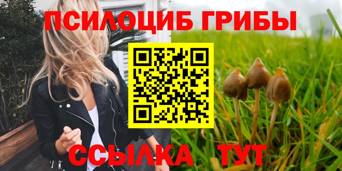 Иваново  Галлюциногенные грибы MAGIC MUSHROOMS  Галлюциногенные грибы Cubensis  Вход с VPN 