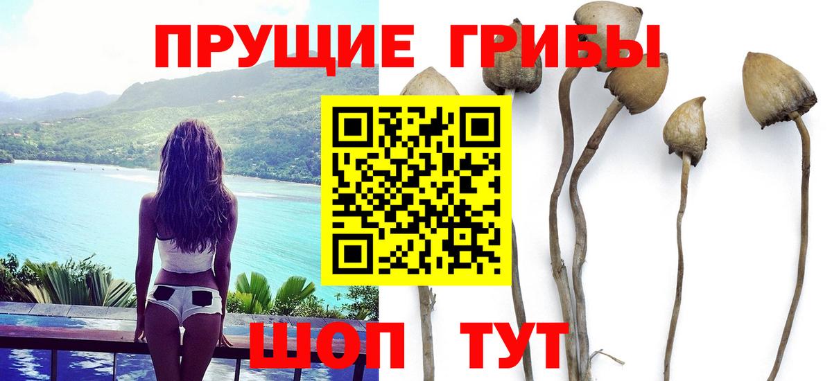 Псилоцибиновые грибы мухоморы Иваново